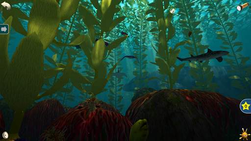 Ocean Forests screenshot 5