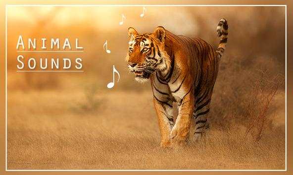 Animal Sounds screenshot 2