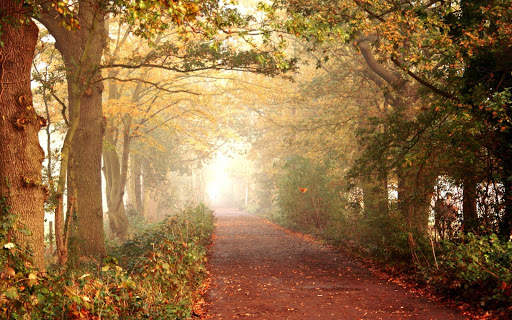 Autumn Live Wallpaper (backgrounds & themes) screenshot 13