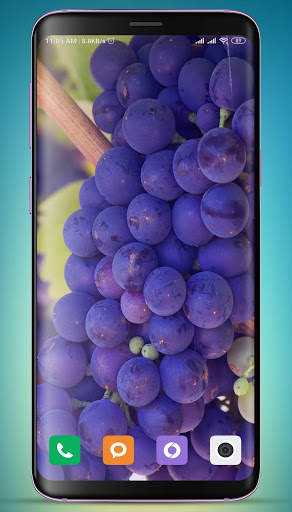 Grapes Wallpaper HD screenshot 16
