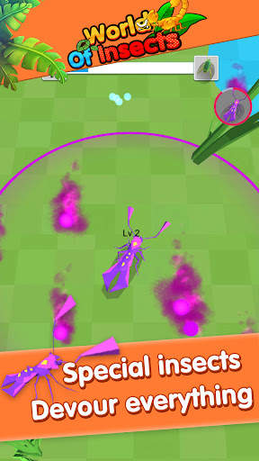 World of insect screenshot 6