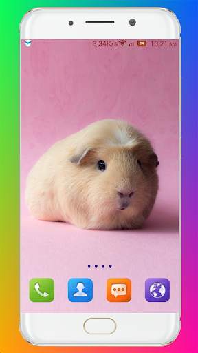 Guinea Pig Wallpaper screenshot 2