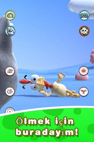 Talking Köpek Ve Chick screenshot 3