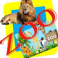 ZOO ANIMALS LIVE VIDEOS