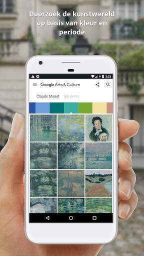 Google Arts & Culture screenshot 4