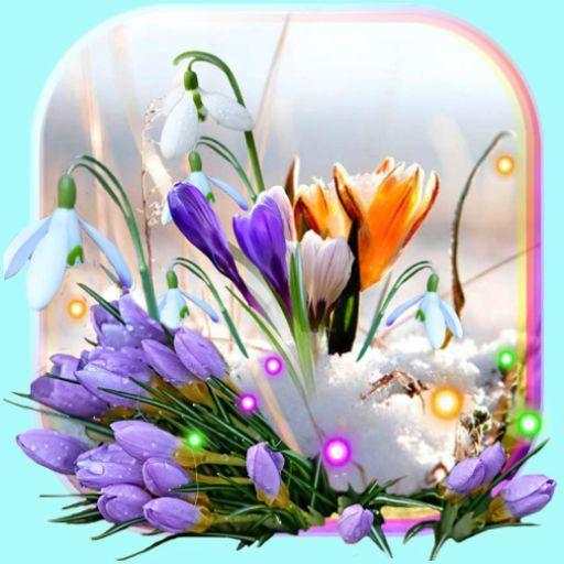 Spring Early Flowers live wallpapar 1.9