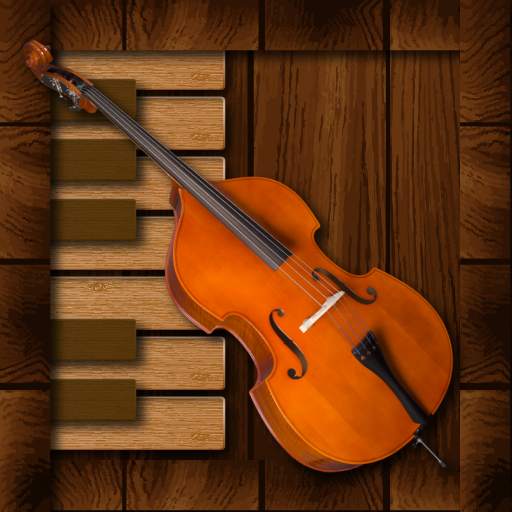 Professional Double Bass 1.0.0