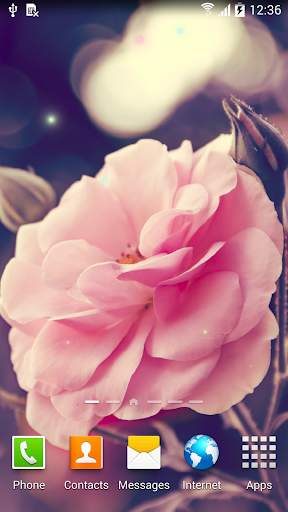 Autumn Flowers Live Wallpaper screenshot 5