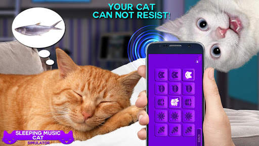 Sleeping Music Cat Simulator screenshot 1