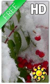 Winter Berry Live Wallpaper screenshot 1