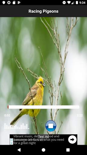 most beautiful birds sounds screenshot 4