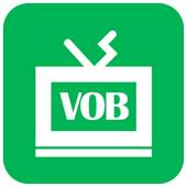 VOB Player 1.1