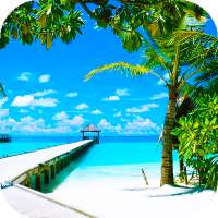 Wallpaper Musim Panas: latar belakang hd on 9Apps