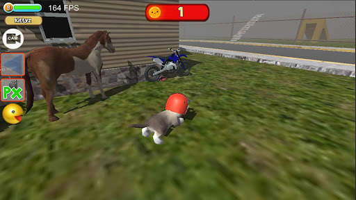 Cat Simulator : kitty can ride screenshot 5