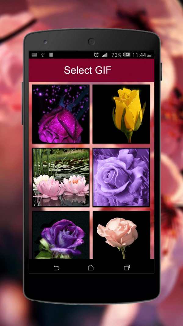 Flower GIF screenshot 2