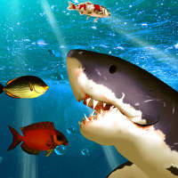 Hungry Shark 2021 logo