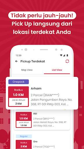 Lion Parcel Driver screenshot 3