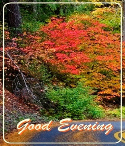 Good Evening screenshot 3