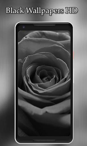 Black Wallpaper HD : Black Wallpapers HD screenshot 6