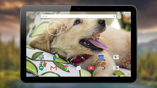 Puppy Live Wallpapers screenshot 13
