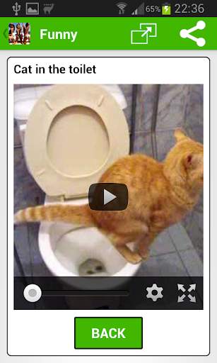 Funny Videos 2021 screenshot 5