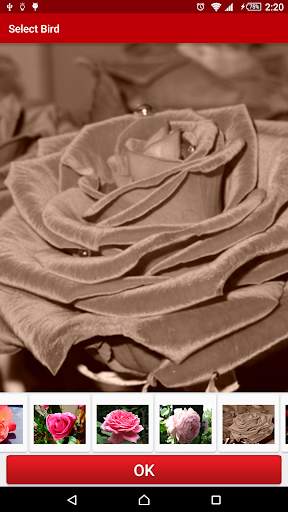 Flowers Live Wallpaper FREE screenshot 3
