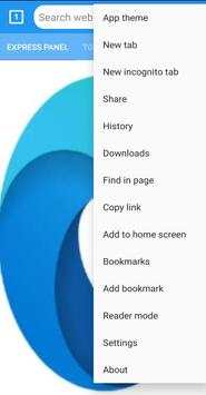 Web Browser pro screenshot 4