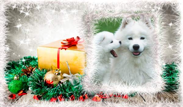 Frames Christmas screenshot 1