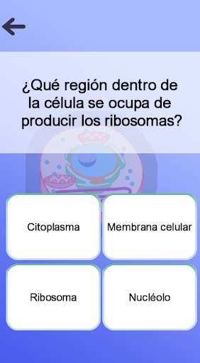 Anatomía screenshot 7
