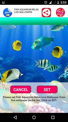 Fish Aquarium A Live Wallpaper screenshot 1