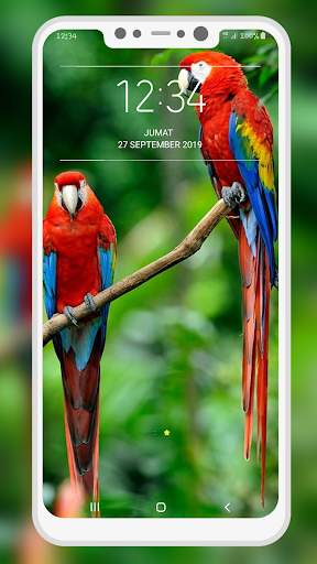 Bird Wallpaper 5 تصوير الشاشة