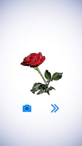 Flower Puzzle Game Poly Art 3D screenshot 3