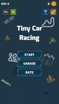 Tiny Car Racing screenshot 1