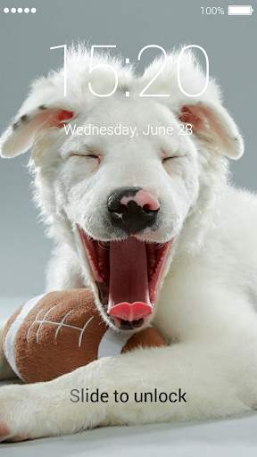 Cute Puppy Lock Screen screenshot 4