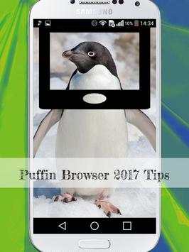 Free Puffin Browser 2017 Tips screenshot 1
