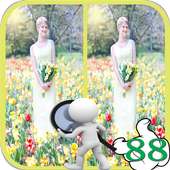 Find Difference Games Between two Pictures logo