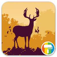 Autumn ASUS ZenUI Theme icon