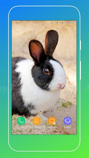 Rabbit Wallpaper screenshot 8
