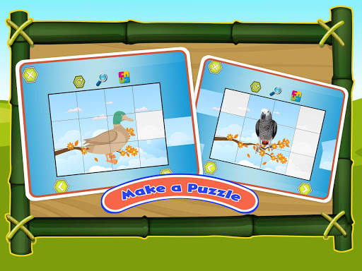 Bird Sounds Fun Learning Games - Coloring & Puzzle screenshot 3