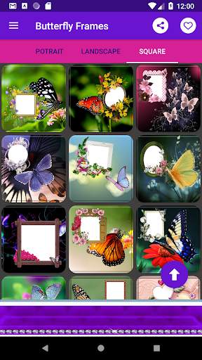 Butterfly Frames - Best HD Photo Frames Editor 1 تصوير الشاشة
