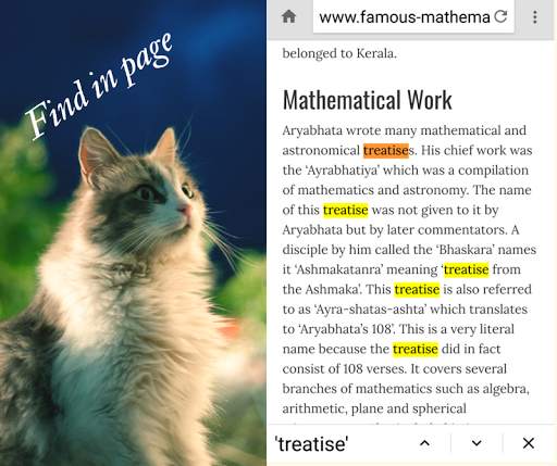 Polyhedron Browser: Fast Private Efficient & Light screenshot 6