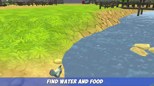 My Chicken Simulator screenshot 4
