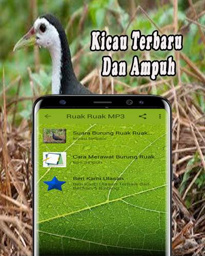 Suara Pikat Ruak Ruak MP3 screenshot 2