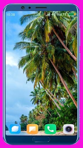Palm Tree Wallpaper screenshot 14