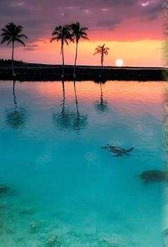 Florida travel ideas screenshot 1