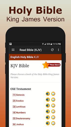 King James Bible Audio screenshot 1