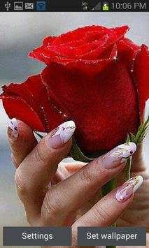 Shiny Red Rose LWP screenshot 1