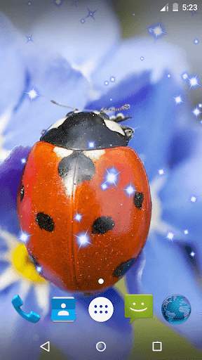 Ladybug Live Wallpaper screenshot 2
