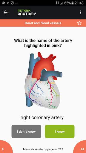Memorix Anatomy QUIZ screenshot 2
