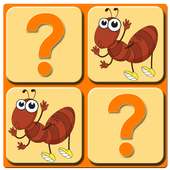 Match up insects for kids logo